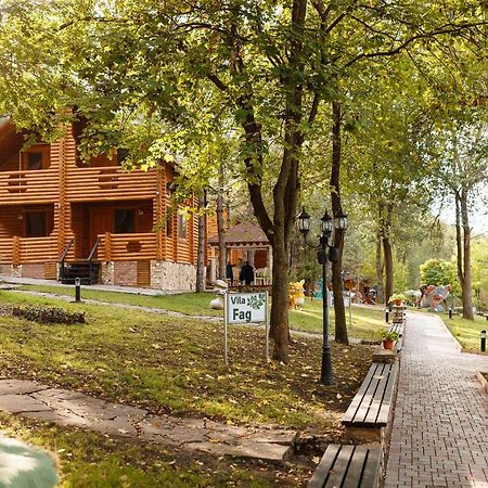 Sky Land Camping & Resort Cricova Zewnętrze zdjęcie