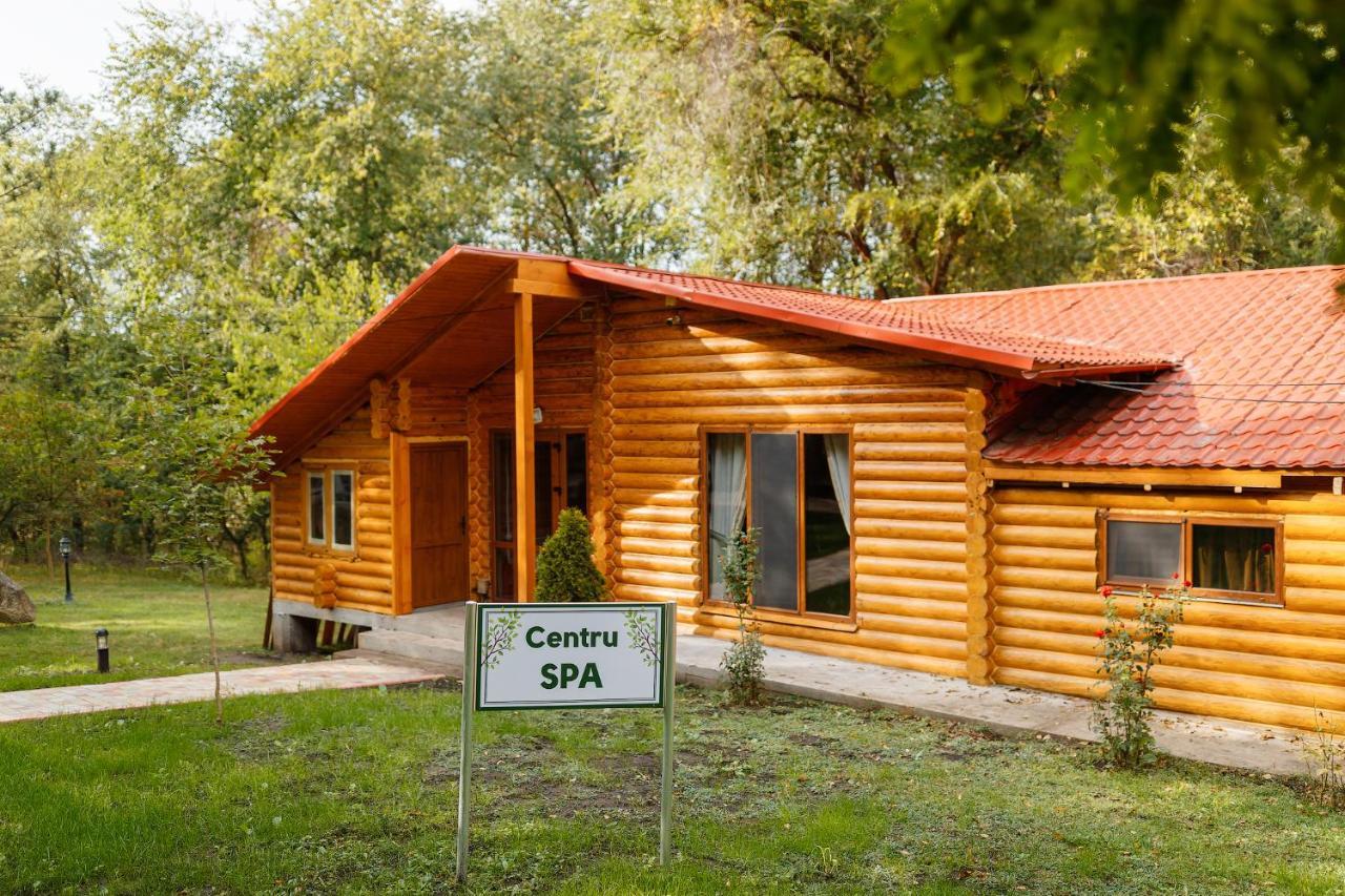 Sky Land Camping & Resort Cricova Zewnętrze zdjęcie