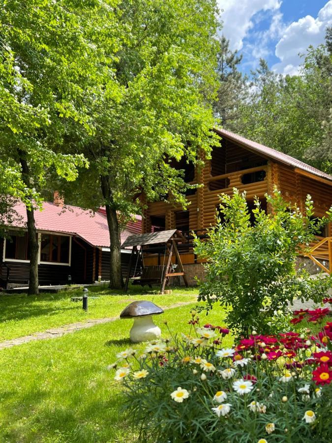 Sky Land Camping & Resort Cricova Zewnętrze zdjęcie