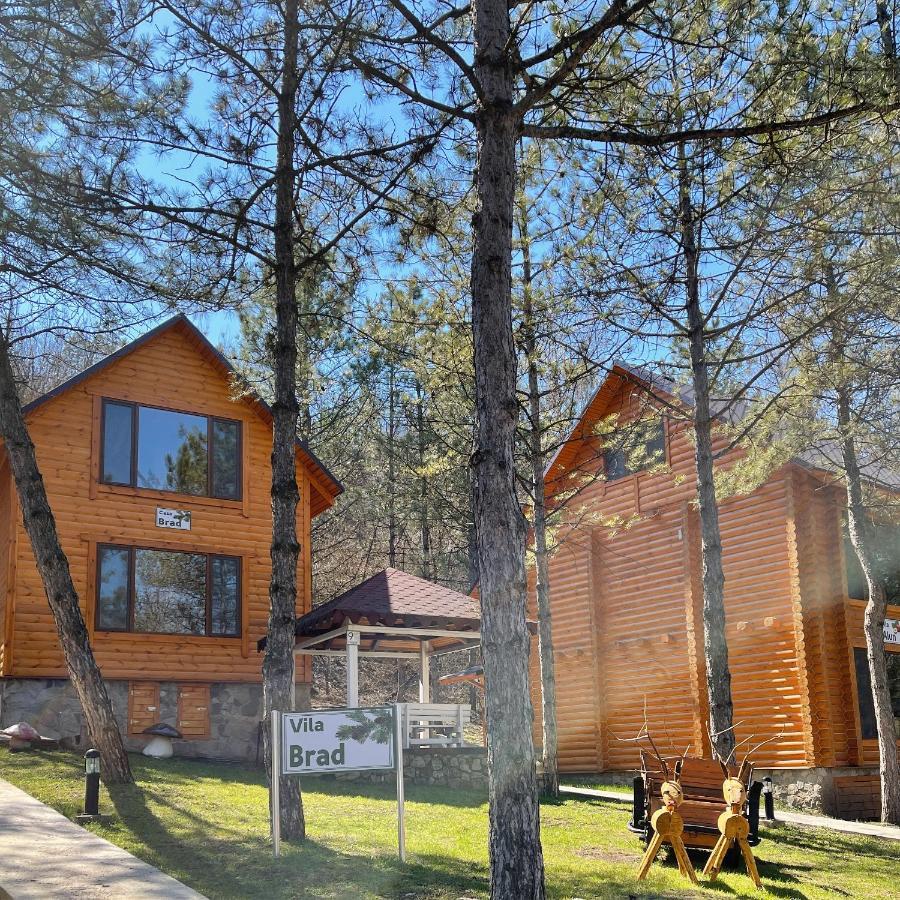 Sky Land Camping & Resort Cricova Zewnętrze zdjęcie